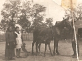 Kath. Laux mit Magdalena und einem Arbeiter (1943)